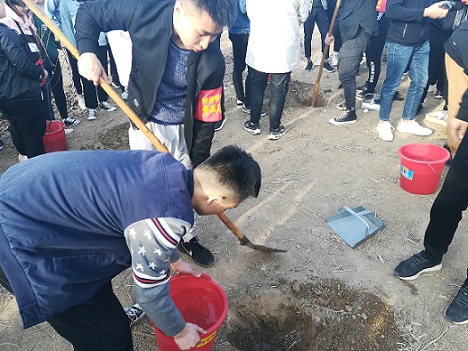 绿化鸿程，美化人生