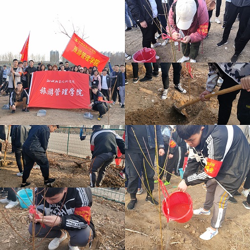 绿化鸿程，美化人生