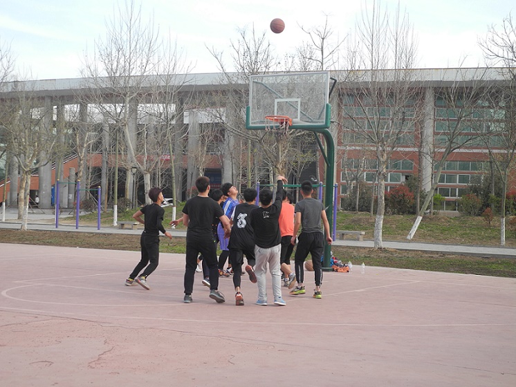 篮球对抗赛